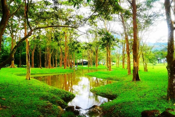 EVERYTHING IN KANDY MULTIPLE OPTIONS ToURS  - Photo 1 of 4